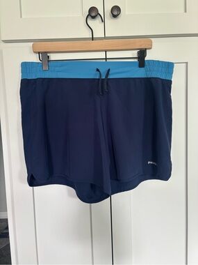 Patagonia Light Blue Waistband with Gray Liner Shorts